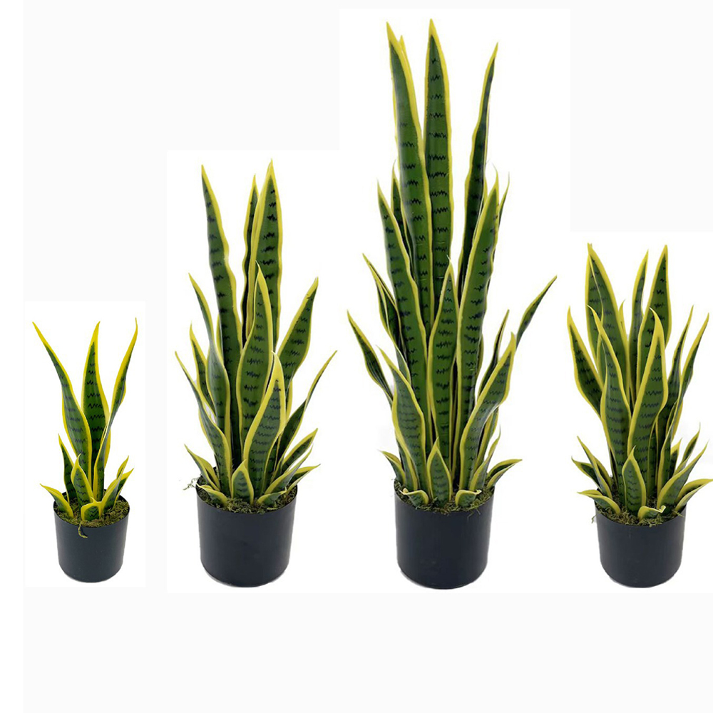 Tanaman Sansevieria Buatan 40- - Desk Setup Plants ulasan dan harga