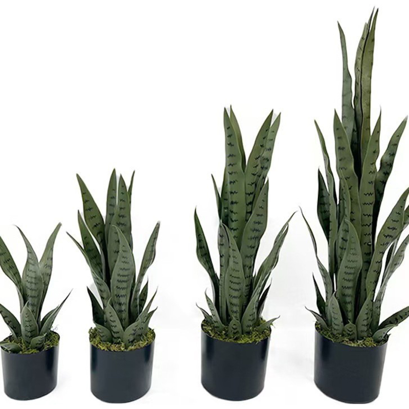 Tanaman Sansevieria Buatan 40- - Desk Setup Plants ulasan dan harga